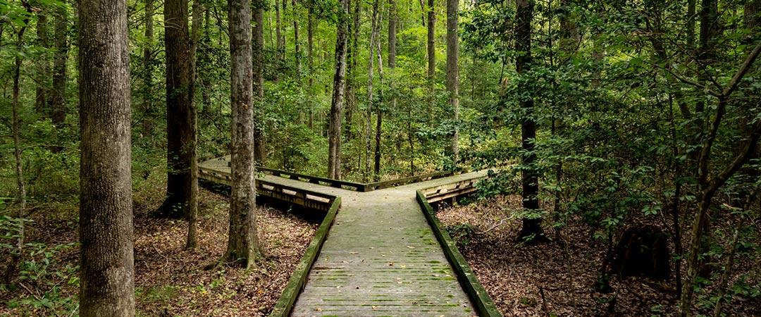 Finding your path